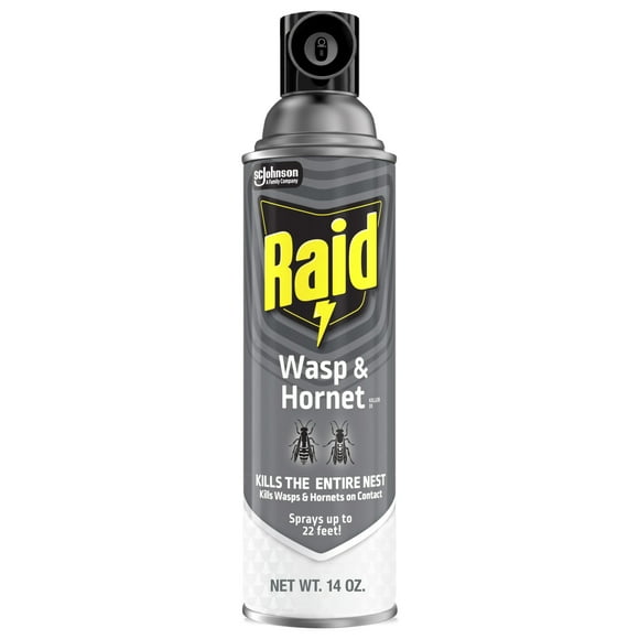 Raid Killer 33 Outdoor Wasp and Hornet Insecticide Value Pack, 14 oz, 2 Count