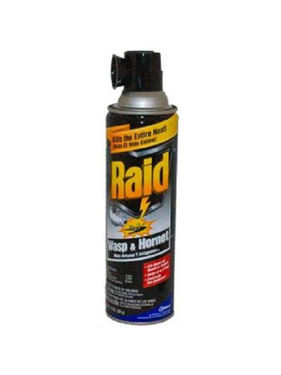Wasp & Hornet Killer 33 Spray, 14-Ounce