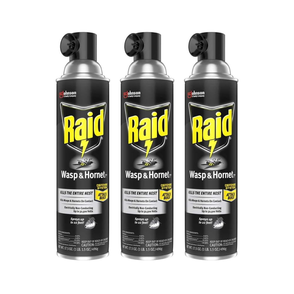 Raid Wasp & Hornet Killer 3ct, 17.5 oz