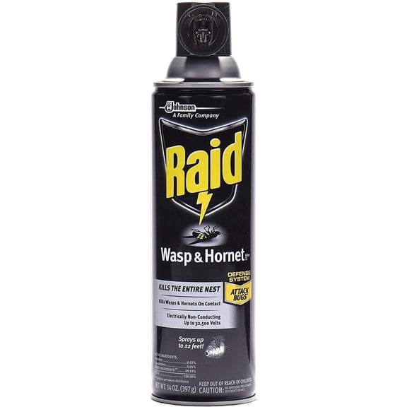 Raid Wasp and Hornet Killer Insecticide Spray - 14 oz - 10 Pack