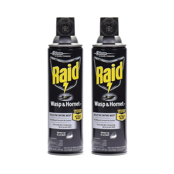 Raid Wasp & Hornet Killer Spray - Bug Killer - 2 Pack, 14 oz Each