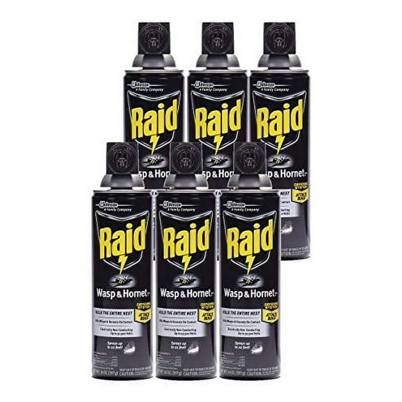 Raid Wasp Hornet Killer Spray (14 Ounce (Pack of 6)