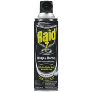 Raid Wasp & Hornet Killer Spray 14 oz