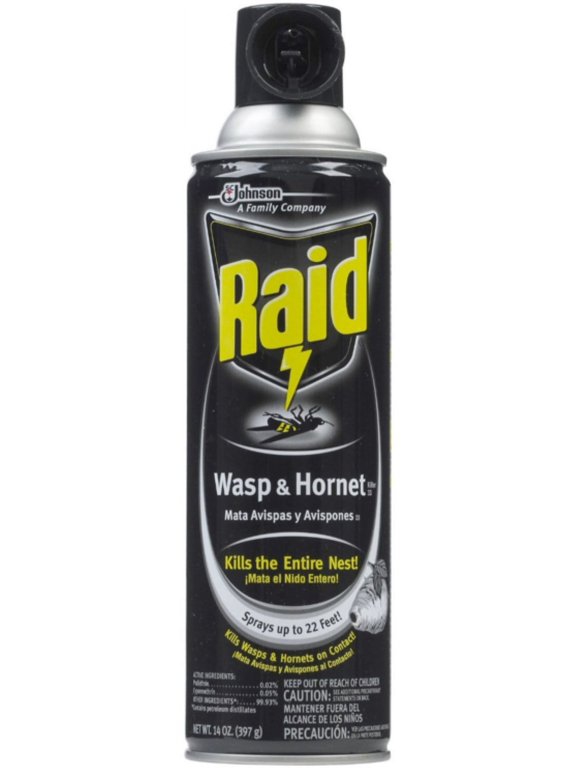 Wasp & Hornet Killer Spray 14 oz