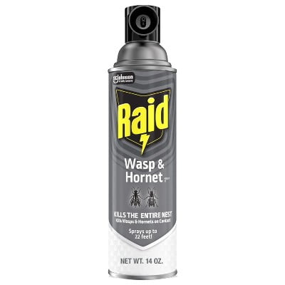 Raid Wasp and Hornet Aerosol Insecticides - 14oz