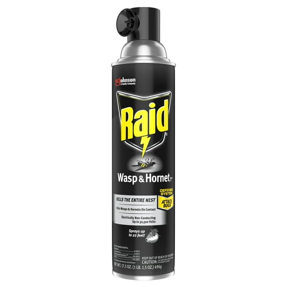 Raid Wasp and Hornet Killer, 17.5 OZ (Pack - 3)