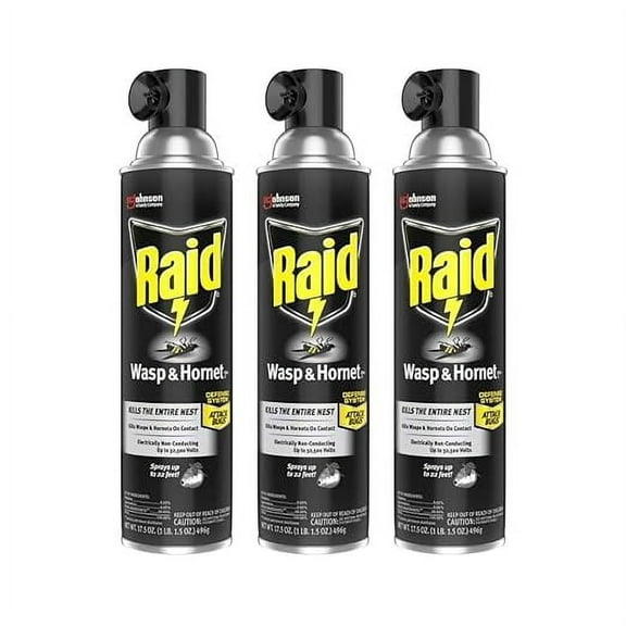 Raid Wasp and Hornet Killer, 17.5 OZ (Pack of 3)