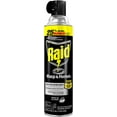 thumbnail image 1 of Raid Wasp and Hornet Killer Spray - Kills Wasps, Hornets, Yellow Jackets - Pack 1, 17.5 oz, 1 of 5