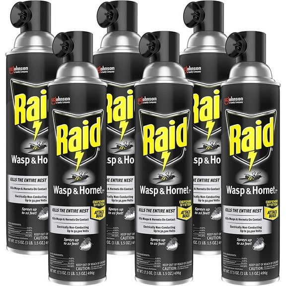 Raid Wasp and Hornet Killer, 17.5 Ounce Pack of 6