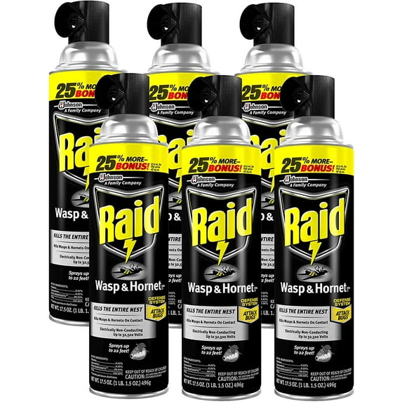 Raid Wasp and Hornet Killer Spray - Outdoor Insecticide - 6 Pack, 17.5 oz Each