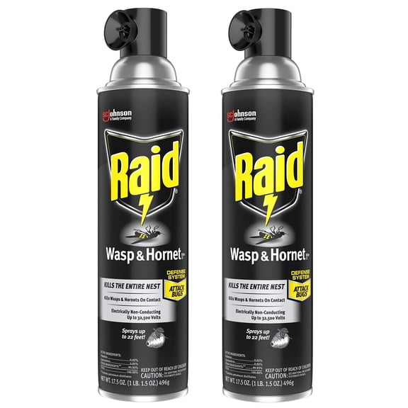 Raid Wasp and Hornet Killer, 17.5 Oz Pack of 2