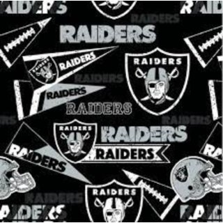 Raiders Fabric