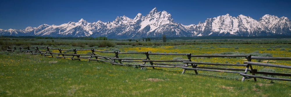Rail fence on a landscape Grand Teton National Park Wyoming USA Canvas Art - Panoramic Images (27 x 9)