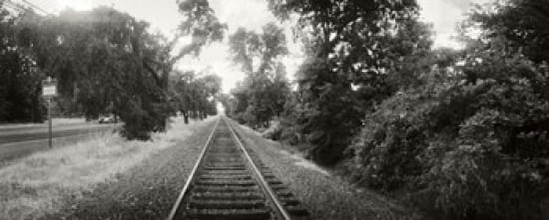 Railroad track Napa Valley California USA Canvas Art - Panoramic Images (15 x 6)