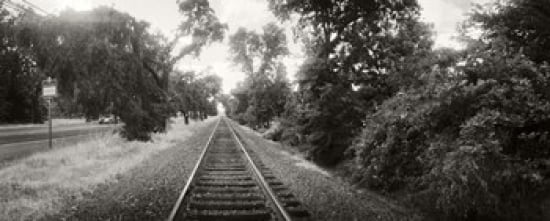 Railroad track Napa Valley California USA Canvas Art - Panoramic Images (30 x 12)