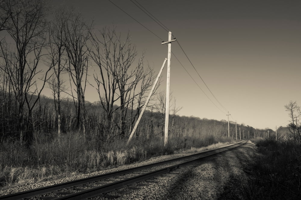 Railroad track passing a through forest Gloucester Cape Ann Essex County Massachusetts USA Canvas Art - Panoramic Images (24 x 36)