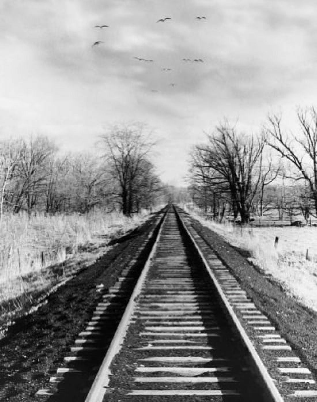 Railroad track passing through a landscape Canvas Art -  (18 x 24)