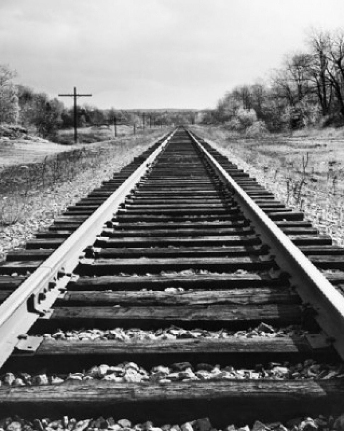 Railroad track passing through a landscape Canvas Art - (18 x 24)