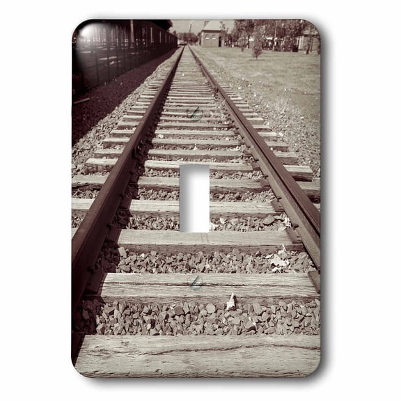 3dRose, Railroad tracks, single toggle switch