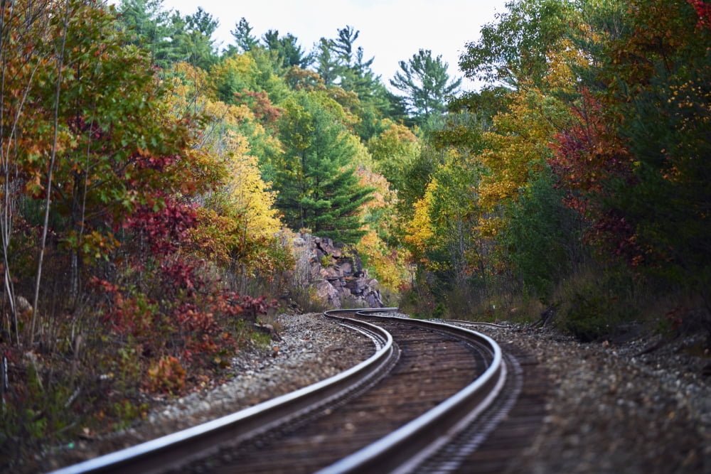 Railroad tracks winding through an autumn coloured forest in Muskoka Ontario Canada Canvas Art - Ian Crysler Design Pics (19 x 12)