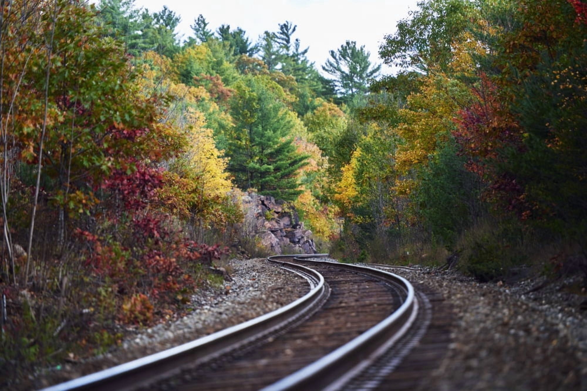 Railroad tracks winding through an autumn coloured forest in Muskoka Ontario Canada Canvas Art - Ian Crysler Design Pics (38 x 24)