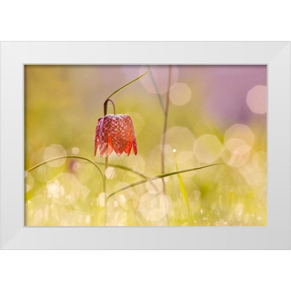 Raimond, Roeselien 14x11 White Modern Wood Framed Museum Art Print Titled - Fairy World I