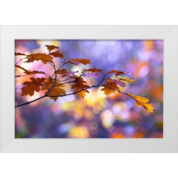 Raimond, Roeselien 14x11 White Modern Wood Framed Museum Art Print Titled - United Colors of Autumn