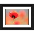 thumbnail image 1 of Raimond, Roeselien 18x13 Black Ornate Wood Framed with Double Matting Museum Art Print Titled - Poppy Dream, 1 of 4