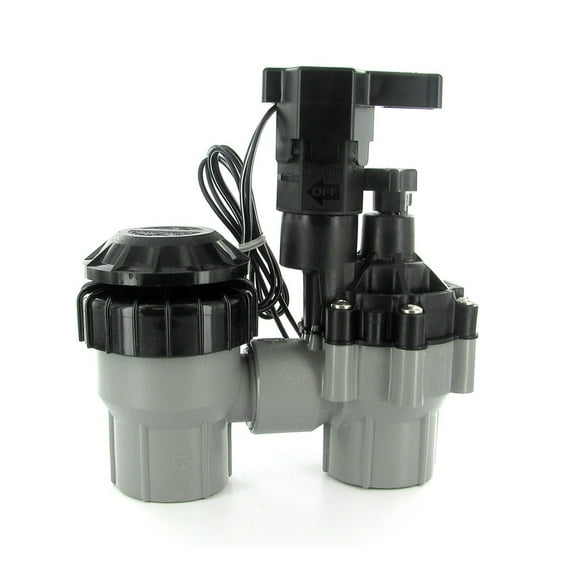 Rain Bird ASVF Anti-Siphon Valve with Flow Control 1 in. FPT | 100-ASVF