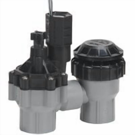 Rain Bird Anti-Siphon Valve 3/4 in. 150 psi