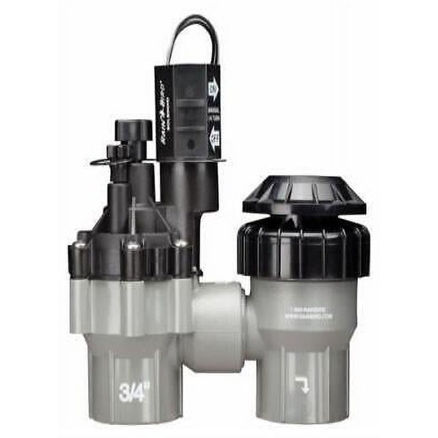 Rain Bird AntiSiphon Valve 3/4 in. 150 psi