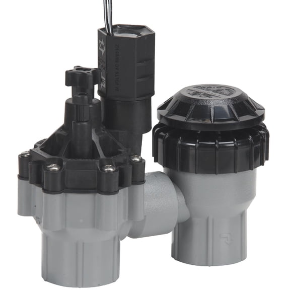 Rain Bird DASASVF075 Professional Grade Anti-Siphon Valve with Flow Control, 3/4" Threaded Female x Female 4-Pack
