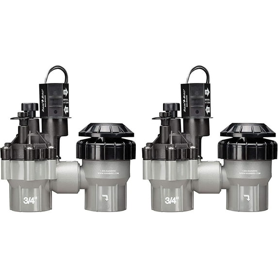 Rain Bird DASASVF075 Professional Grade Anti-Siphon Valve with Flow Control, 3/4" Threaded Female x Female Pack of 2