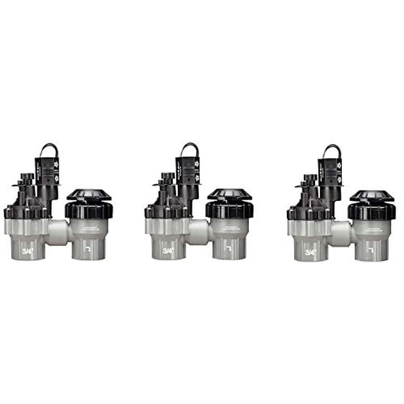 Rain Bird DASASVF075 Professional Grade Anti-Siphon Valve with Flow Control, 3/4" Threaded Female x Female (Pack of 3)