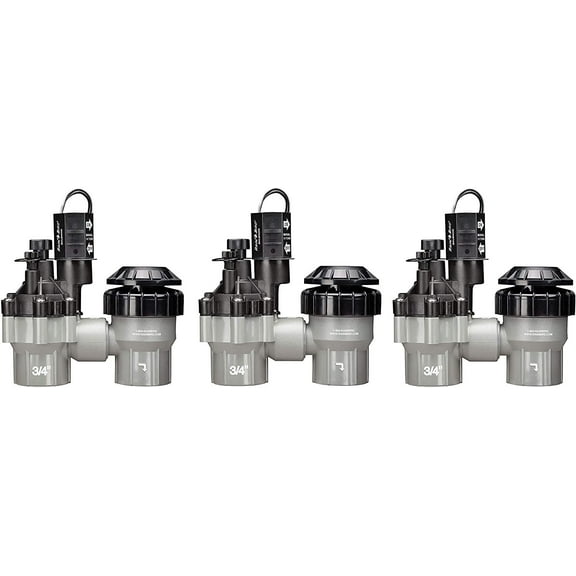 Rain Bird DASASVF075 Professional Grade Anti-Siphon Valve with Flow Control, 3/4" Threaded Female x Female Pack of 3
