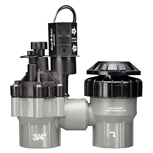 Rain Bird DASASVF075 Professional Grade AntiSiphon Valve with Flow