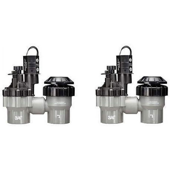 Rain Bird DASASVF100 Professional Grade Anti-Siphon Valve with Flow Control, 1" Threaded Female x Female 2-Pack