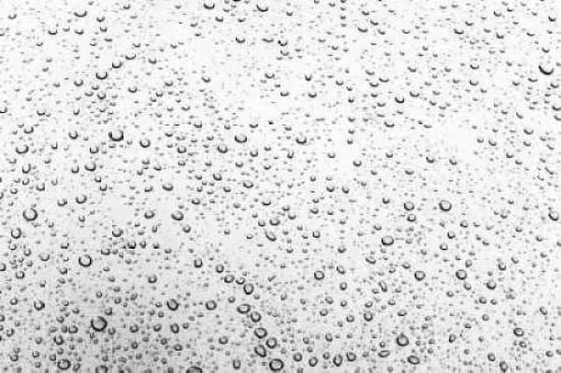 Rain Drops I Canvas Art - Karyn Millet (12 x 18)