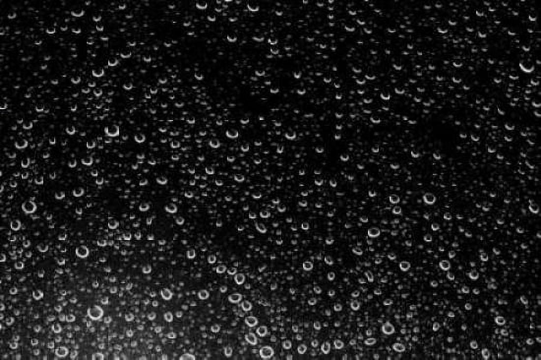 Rain Drops III Canvas Art - Karyn Millet (12 x 18)