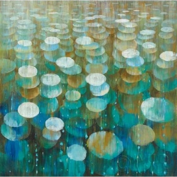 Rain Drops Poster Print by Danhui Nai (12 x 12)