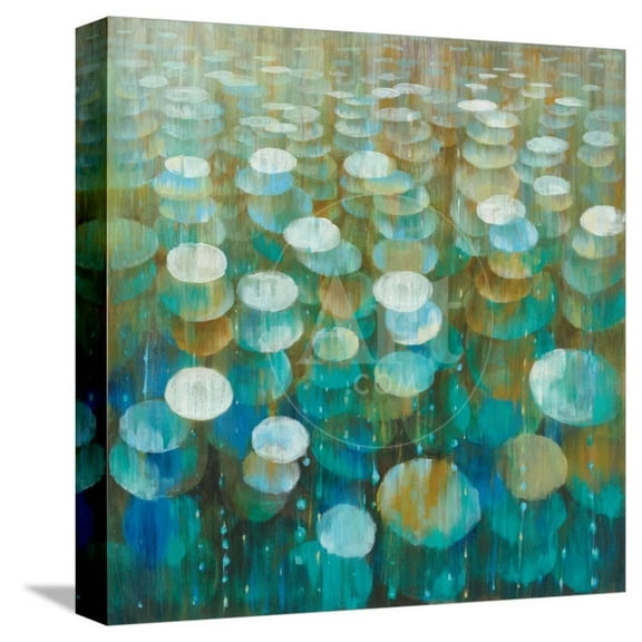 Rain Drops, World Culture Stretched Canvas Wall Art by Danhui Nai Sold by Art.Com