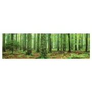 Rain Forest Laminated Poster (36 x 12)