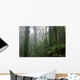 thumbnail image 1 of Rain Forest Wall Mural by Wallmonkeys Peel and Stick Graphic (18 in W x 12 in H) WM316207, 1 of 4