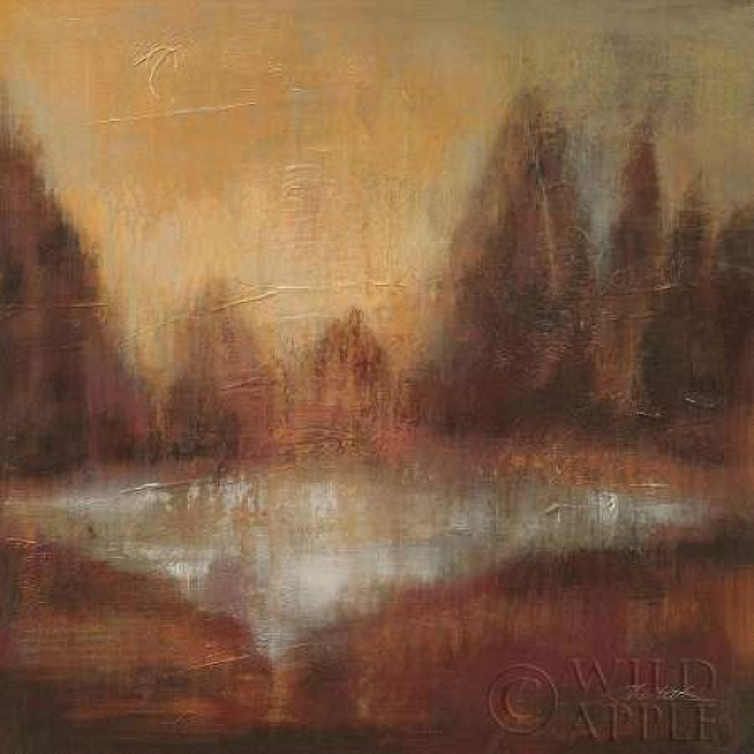 Rain II Canvas Art - Silvia Vassileva (24 x 24)
