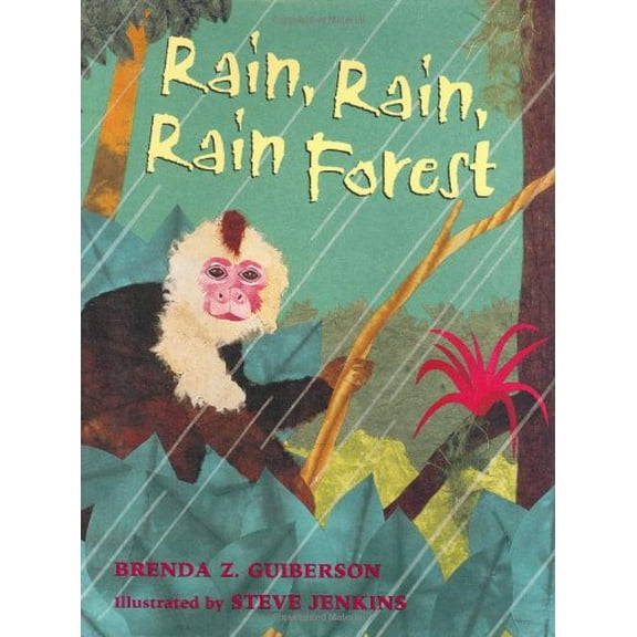 Pre-Owned Rain, Rain, Rain Forest (Hardcover) 0805065822 9780805065824