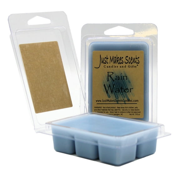 Rain Water 2- Pack Wax Melts -Just Makes Scents Candles & Gifts