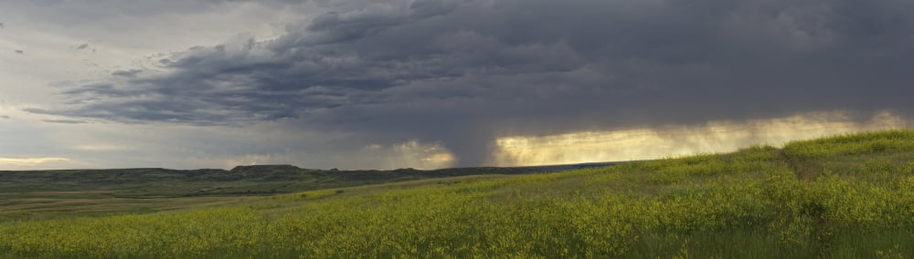 Rain from a thunderstorm falls over Grasslands National Park Saskatchewan Canada Canvas Art - Robert Postma Design Pics (26 x 7)