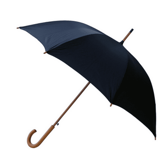 RainWorthy 48-inch Luxury Wood Handle Umbrella - L Black