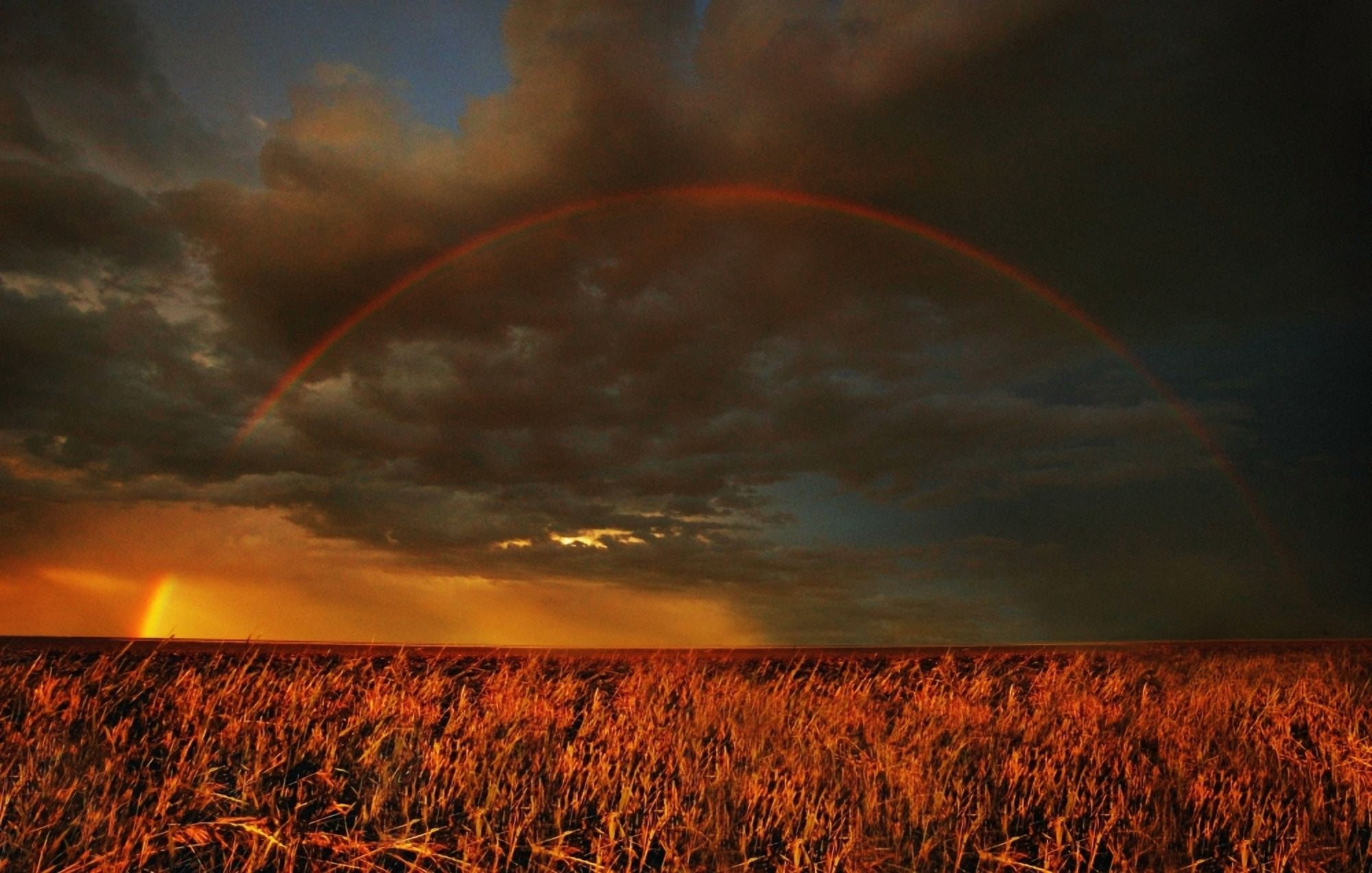 Rainbow Above Farmers Field Canvas Art - Don Hammond Design Pics (17 x 11)
