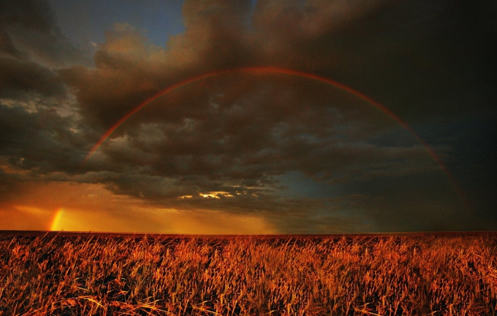 Rainbow Above Farmers Field Canvas Art - Don Hammond Design Pics (34 x 22)